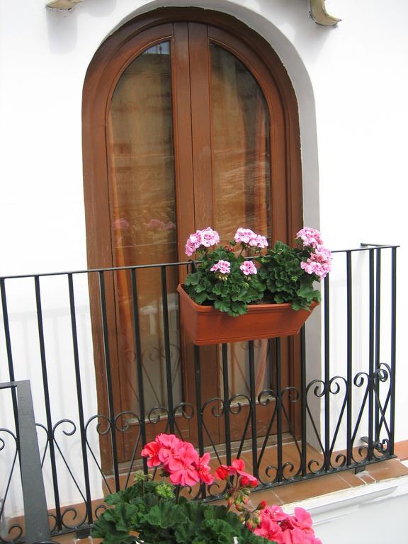 Pension Oliva Exteriör bild